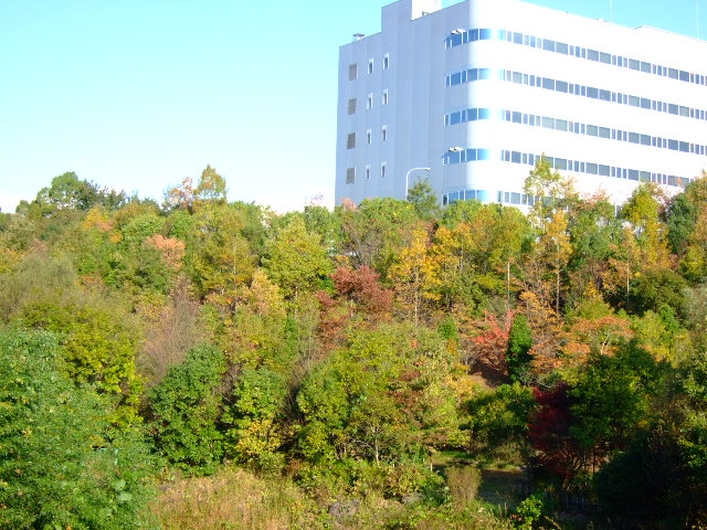 b0137932_1684627.jpg