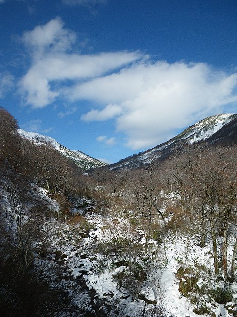 f0118332_2229236.jpg