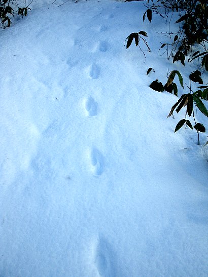 f0118332_22334655.jpg