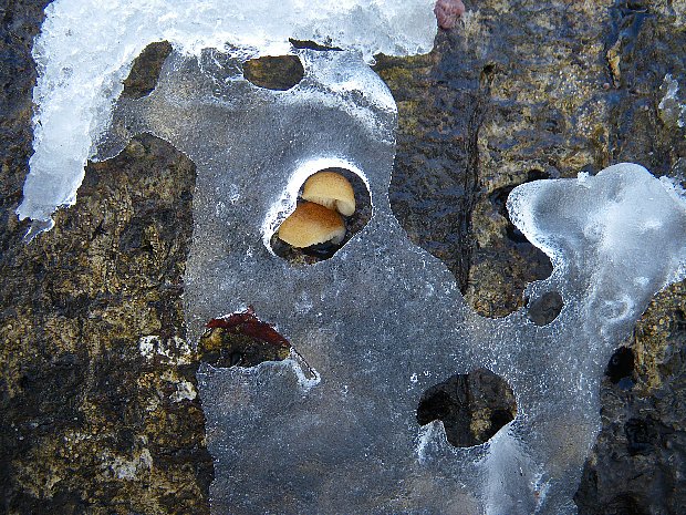 f0118332_22352315.jpg
