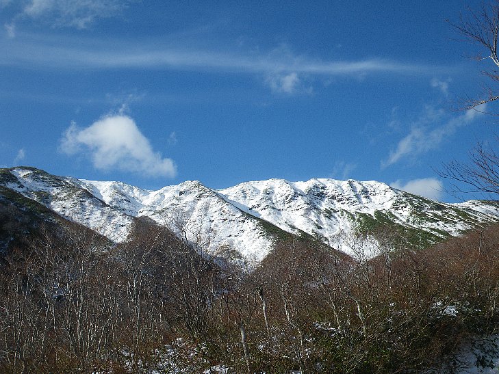 f0118332_2237186.jpg