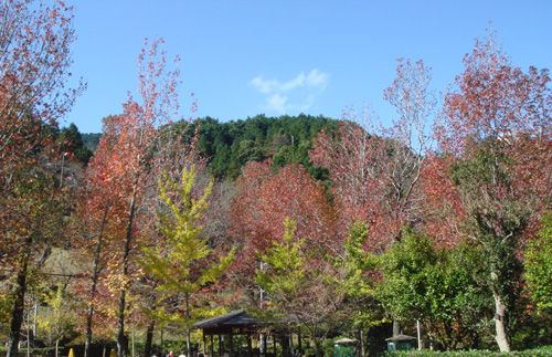 a0129233_15581919.jpg