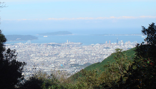a0129233_1620531.jpg