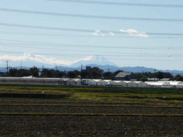 e0157634_15584112.jpg