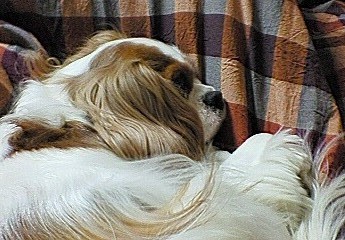 f0161834_2213815.jpg