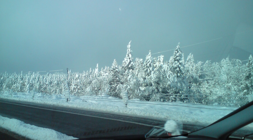 c0054838_11484929.jpg