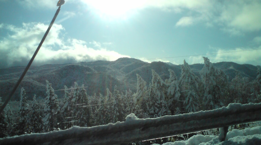 c0054838_11491231.jpg