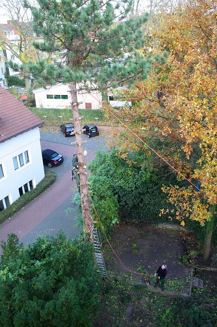 c0153740_1732271.jpg