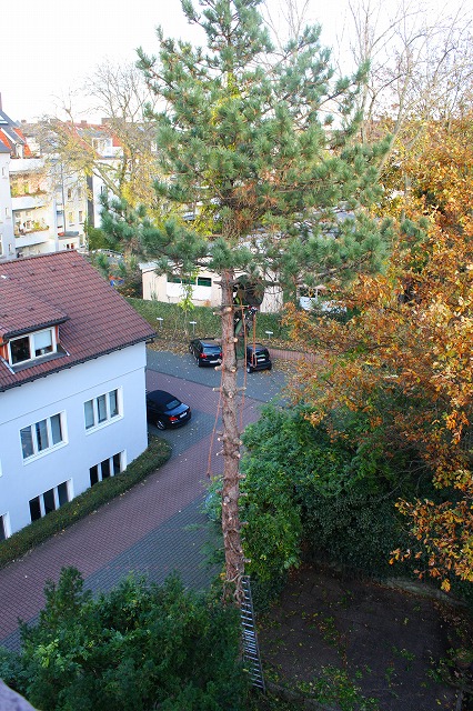 c0153740_1734773.jpg