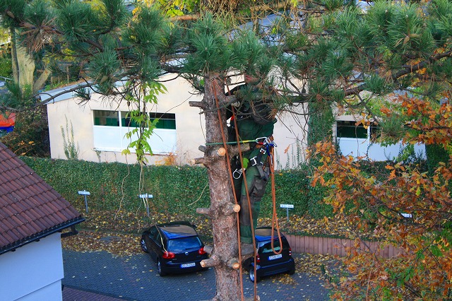 c0153740_1742790.jpg