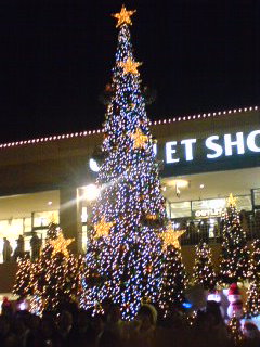 a0025141_02213100.jpg