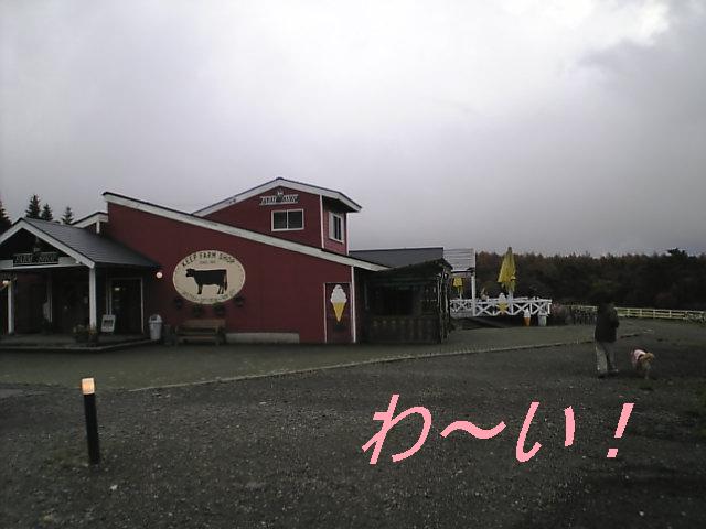 e0144042_21554548.jpg