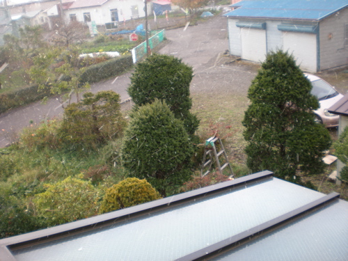 c0153444_1925160.jpg