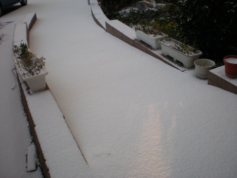 c0153444_1934060.jpg