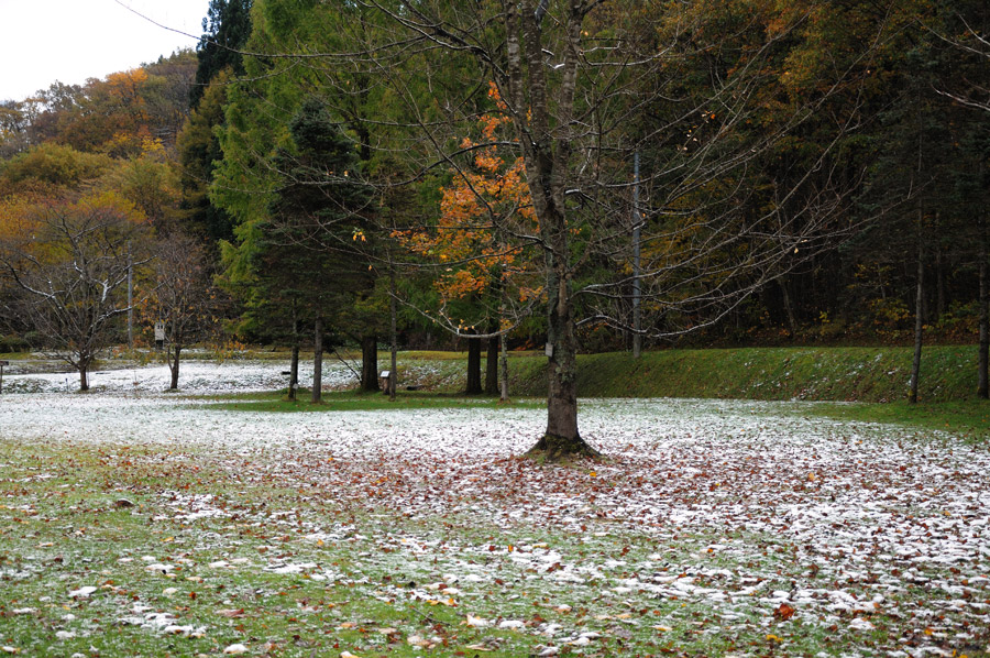 a0039245_0554183.jpg