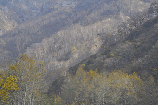 c0093046_11452918.gif
