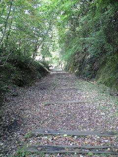 f0116546_0365525.jpg