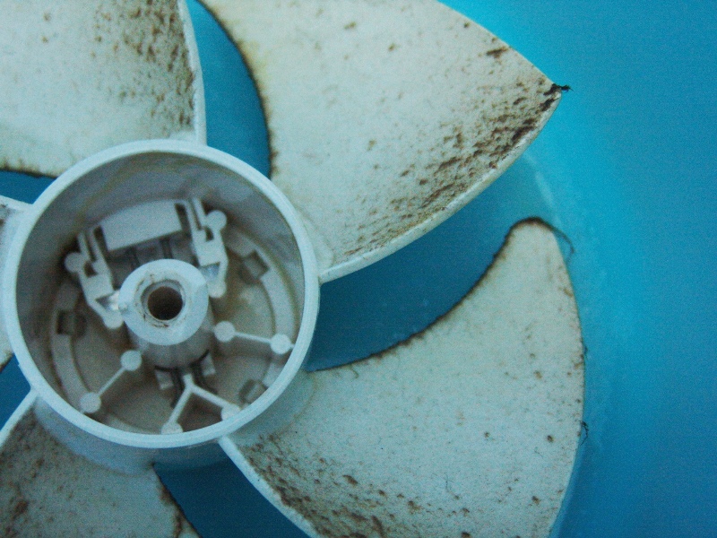 c0189747_1551111.jpg