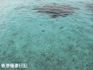f0190653_9255161.jpg