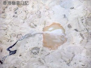f0190653_930429.jpg