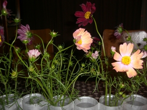 f0194457_13464052.jpg