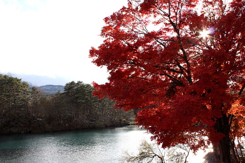 c0107861_8435182.jpg