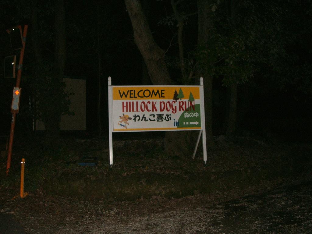 e0125264_9584189.jpg