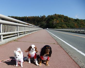 d0076165_22243425.jpg