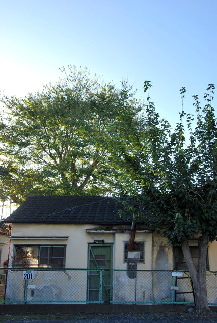 b0174068_23263186.jpg