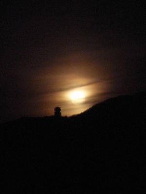 c0166668_23445945.jpg