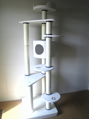 c0023170_7315659.jpg