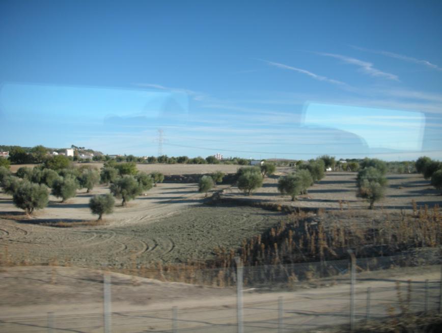 a0123372_86888.jpg