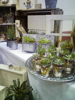 c0214272_8422154.jpg