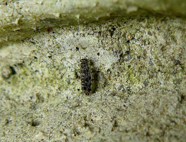 d0019074_1725081.jpg