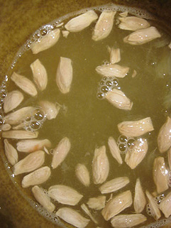 f0056476_1532064.jpg