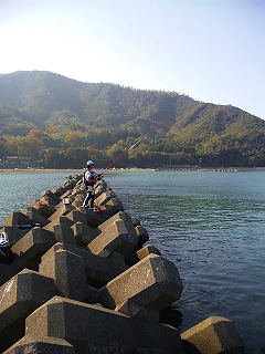 a0120877_1313040.jpg