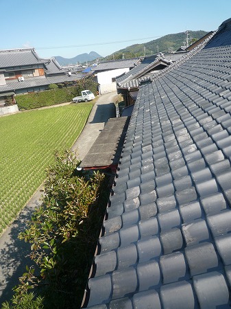 b0183781_20285075.jpg