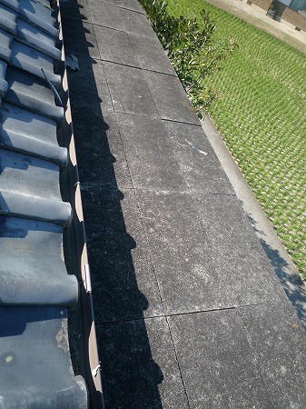 b0183781_20295752.jpg
