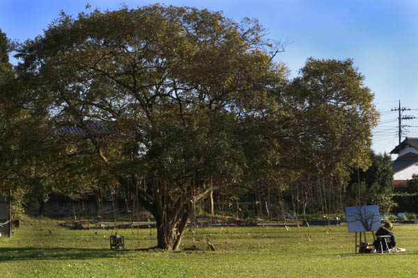 b0089483_048666.jpg