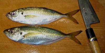 f0003283_20252120.jpg