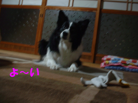 c0120585_20322357.jpg