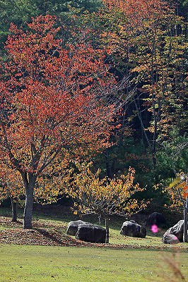 e0190885_1728071.jpg