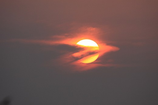 e0190885_1730295.jpg