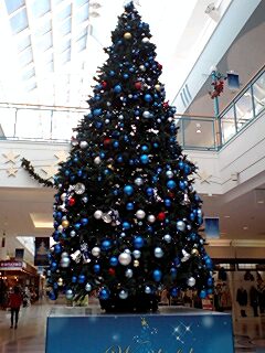 f0075087_2232376.jpg