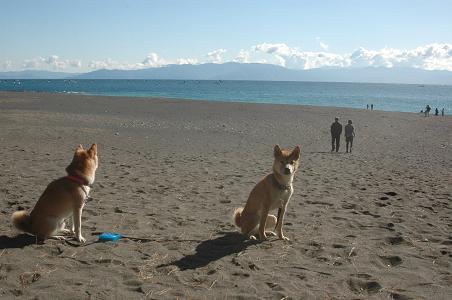 c0123890_20204250.jpg