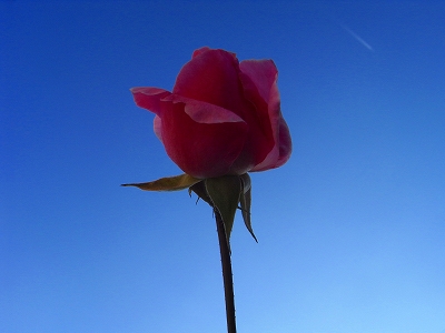 c0207890_2253346.jpg