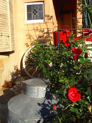 c0207890_22552868.jpg