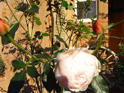 c0207890_22555015.jpg