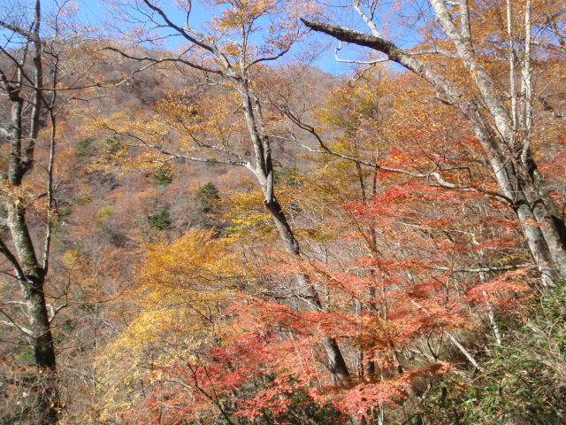 d0034291_21183070.jpg