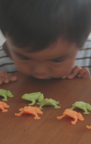 c0033994_1626599.jpg